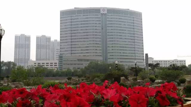 杏耀平台登录入口